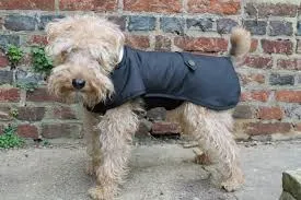 Country and Twee Black Underbelly Waterproof Dog Coat